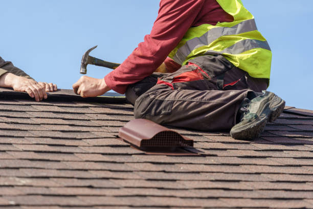 Best Local Roofing Companies  in Wainaku, HI