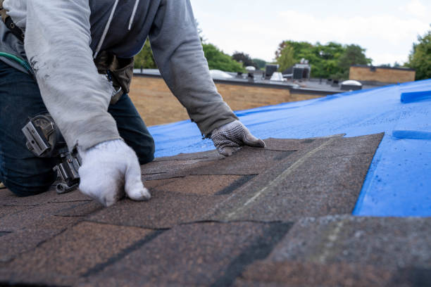 Best Residential Roof Replacement  in Wainaku, HI