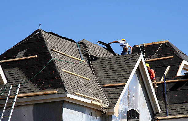 Best Flat Roof Repair Services  in Wainaku, HI
