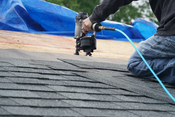 Best Residential Roofing Contractor  in Wainaku, HI