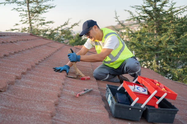 Best New Roof Installation  in Wainaku, HI