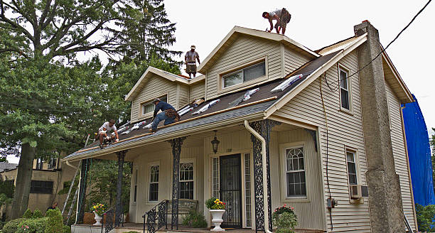 Best Roof Restoration Services  in Wainaku, HI