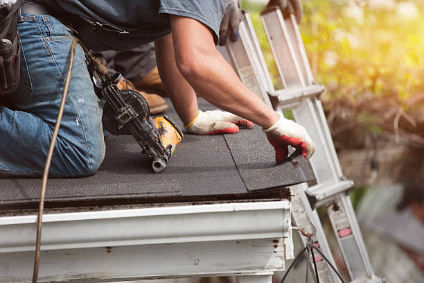 Residential Roof Replacement in Wainaku, HI