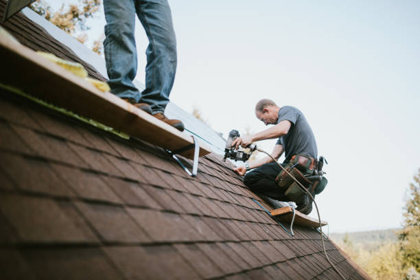 Quick and Trustworthy Emergency Roof Repair Services in Wainaku, HI