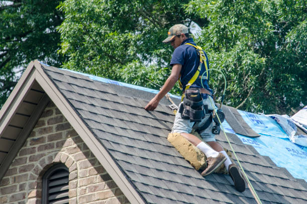 Best Commercial Roofing Services  in Wainaku, HI